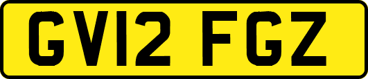 GV12FGZ
