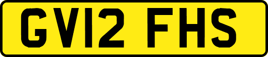 GV12FHS