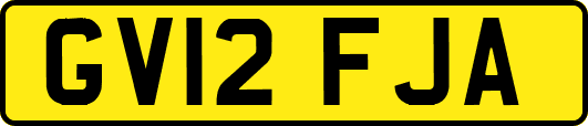 GV12FJA