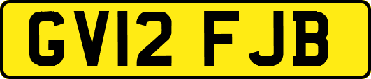 GV12FJB
