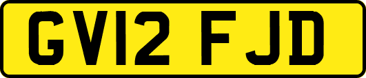 GV12FJD