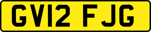 GV12FJG