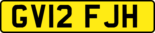 GV12FJH