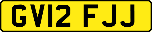 GV12FJJ