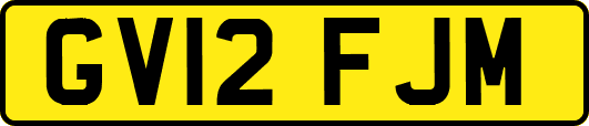 GV12FJM