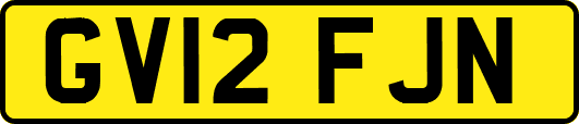 GV12FJN