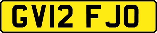 GV12FJO