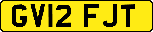 GV12FJT