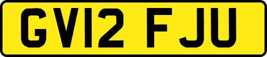 GV12FJU