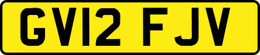 GV12FJV
