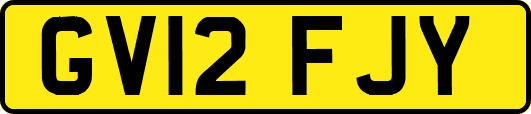 GV12FJY