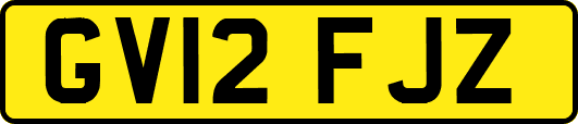 GV12FJZ