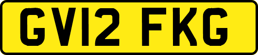 GV12FKG