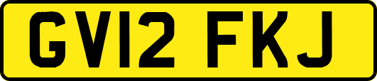 GV12FKJ