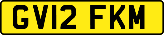 GV12FKM