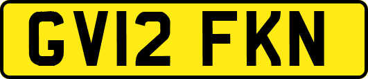 GV12FKN