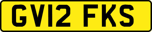 GV12FKS