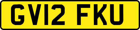 GV12FKU