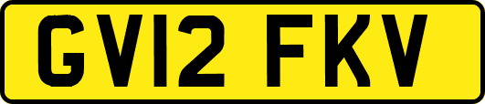 GV12FKV