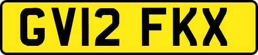 GV12FKX