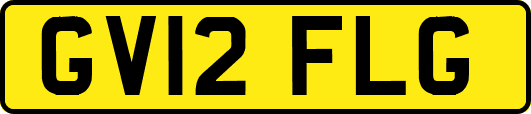 GV12FLG