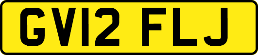 GV12FLJ