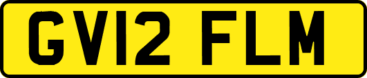 GV12FLM