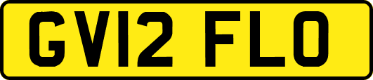 GV12FLO