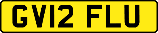 GV12FLU