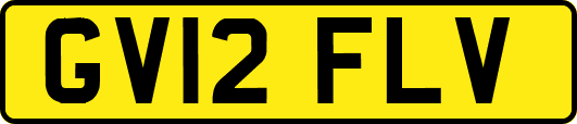 GV12FLV