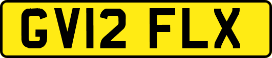 GV12FLX