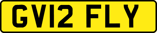 GV12FLY