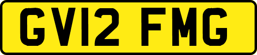 GV12FMG