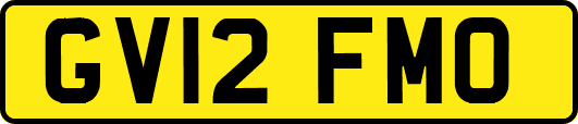 GV12FMO