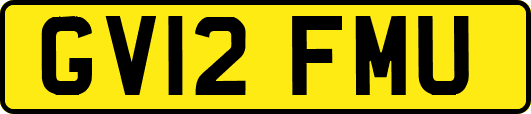 GV12FMU