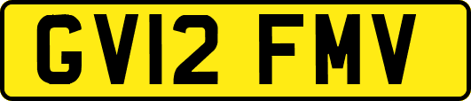 GV12FMV