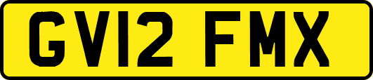 GV12FMX
