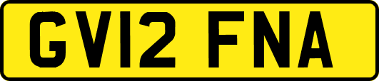 GV12FNA