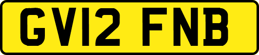 GV12FNB