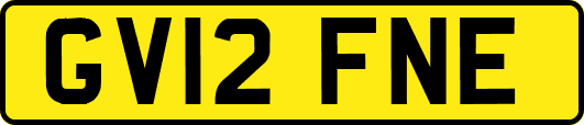 GV12FNE