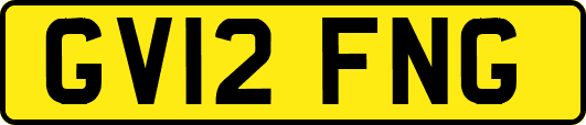 GV12FNG