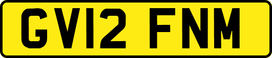 GV12FNM