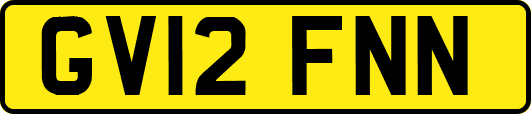GV12FNN