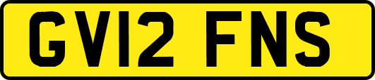 GV12FNS