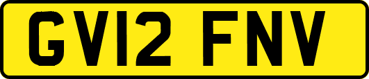 GV12FNV