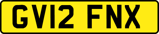 GV12FNX