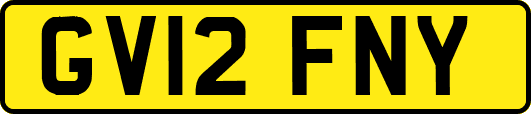GV12FNY