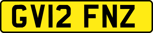 GV12FNZ