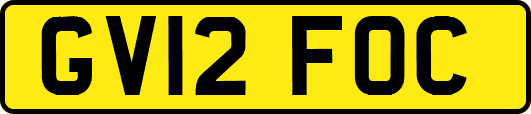 GV12FOC