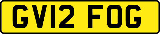GV12FOG